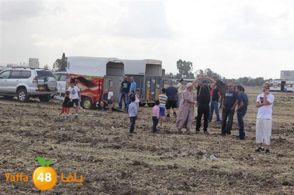 khoyoul lud 0610 (72).JPG